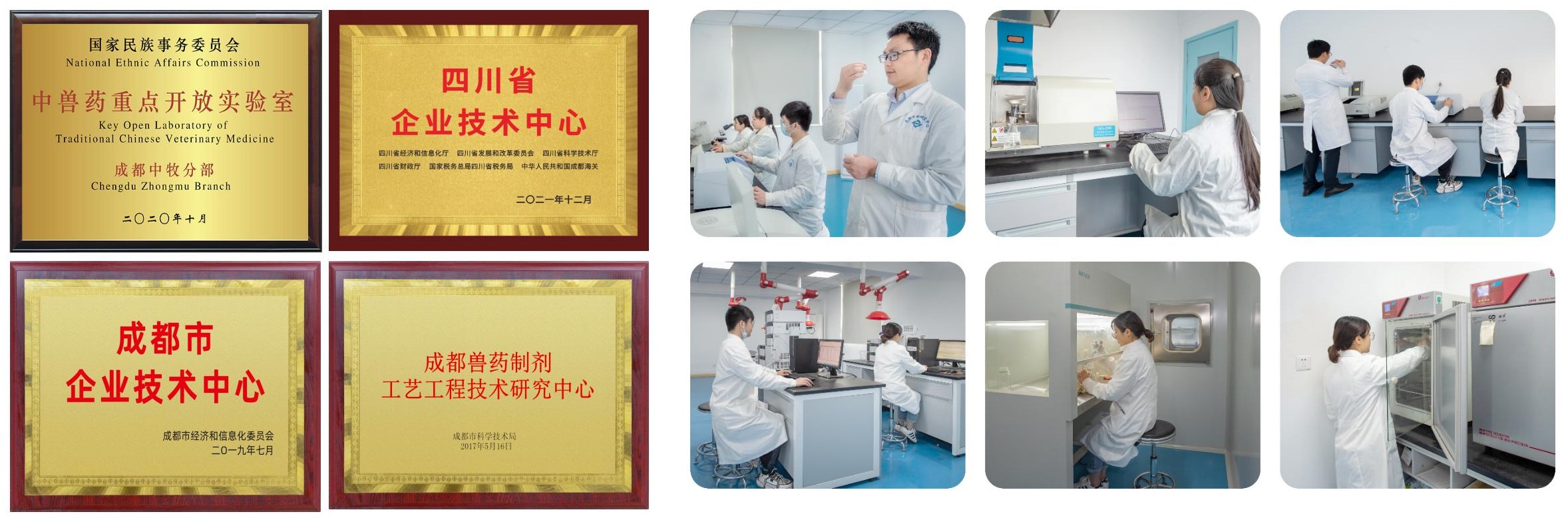 多彩网(中国区)官方网站