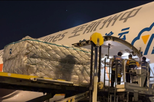 豪门国际官网-追求康健,你我一起开展